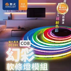 舞光 幻彩COB軟條燈 彩色燈帶 燈條 5米 720P 24V 含控制器 氣氛燈, 1個