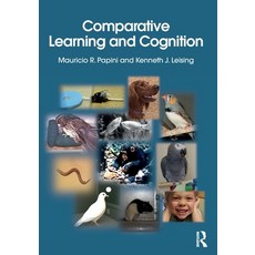 (英文圖書)Comparative Learning and Cognition 平裝版, Routledge, English, Paperback