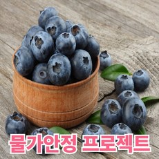 청담농수산 특품 칠레산 생블루베리, 1개, 18mm 왕대 4팩 (팩당 125g)