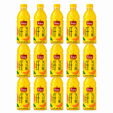 중국음료수 오렌지맛, 15개, 450ml