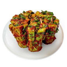 태백하늘 오이소박이 국산100%(무료배송), 3kg, 1개