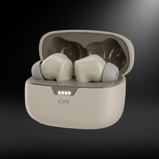 CW 真無線降噪耳機 ANC主動式降噪 HIFI音質 藍牙耳機, 灰棕色, CWBHE01