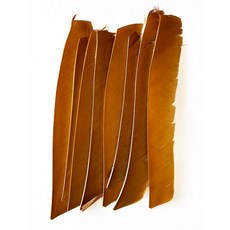 18-25CM 양궁 Fletching 화살 깃털 여러 가지 빛깔의 전체 길이 컷 없음 진짜 칠면조 DIY 샤프트 50 개, 07 brown, 1개