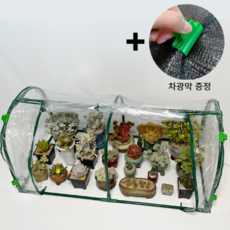 이바닉 소형 비닐 하우스 + 차광막, 1개
