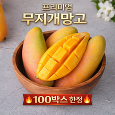 [항공직송] 태국 마하차녹 무지개망고 고당도 망고, 1박스, 1kg (3과 내외)