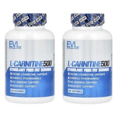 이보루션 뉴트리션 L-CARNITINE500 120캡슐 x2