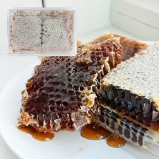 벌집꿀 450g 요아정 아이스크림 요거트 토핑 천연당, 1개