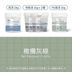 【樂客】磁磚漆 - 地板磁磚漆 衞浴防水防滑 磁磚翻新改色 銀河灰(10平方公尺)套組, 橄欖灰綠（限宅配）, 1個