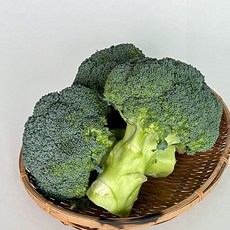 은유통 아삭하고 싱싱한 제주 브로콜리, 1박스, 2kg