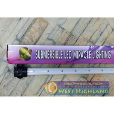 西高地水族坊 新加坡仟湖 神奇龍魚燈系列 超強水中LED龍魚神奇燈 143cm 5尺 龍魚增豔燈具, 1個