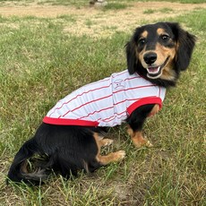 도기스타 닥스훈트옷 민소매 반려견 쿨나시, 야구레드, 1개