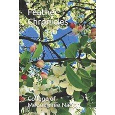 (영문도서) Feather Chronicles Paperback, Independently Published, English, 9781798630884