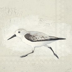 IHR Ideal Home Range 칵테일 냅킨 일회용 3겹 종이 파티 용품 12.7 x 12.7cm(5 x 5인치) 바다 새 20개, Sea Birds