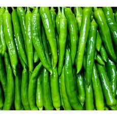 (가락시장까망콩) 당일경매 싱싱하고 안매운 부드러운 롱그린고추 1kg, 1개