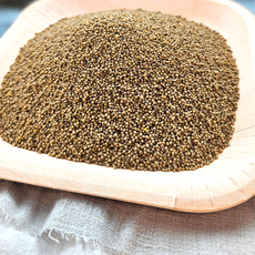 아람뜰 신선 개별포장 국산 고품질 차조 100g, 1개