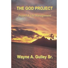 The God Project Paperback, Independently Published, English, 9781793885456