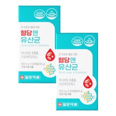일양식품 혈당 앤 유산균, 2개, 혈액순환, 60회분