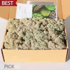 [천연이끼] 네츄럴모스 0102 200g 스텔라 모스이끼 자연 색상 실내 조경 재료 픽앤코401