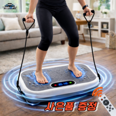 진동핏 덜덜이 운동기구 코어 복부 진동 전신 마사지기구, 화이트, 진동핏01