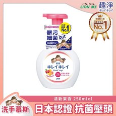 LION趣淨洗手慕斯 兒童洗手乳 清爽柑橘 清新果香 洗手慕斯 洗手慕斯補充包, 1個, 洗手慕斯-果香 250ml