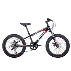 BIKEDNA JUNIOR3.0青少年前避震兒童登山車山地車20吋6段變速碟煞登山自行車、多色、堅固、容易騎乘，適合賠, 紅/黑白, 1個