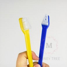 PH 강아지치약칫솔 애견 칫솔
