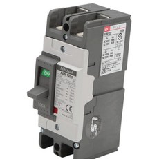 (올핀) 배선차단기 ABN 102C 2P 100A 35KA LS산전