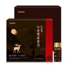 일품녹용발효홍삼-10병, 1세트, 75ml
