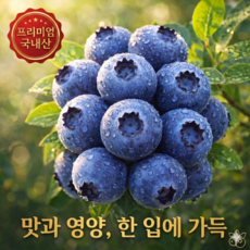 [산지직송] 고당도 생 블루베리 국산 당일수확, 1박스, 왕특(18mm 이상) 100g,