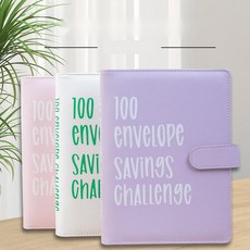 현금챌린지 A5다이어리속지 현금생활 바인더속지, 2. 스카이블루