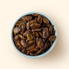 원적외선에서 구운 수입산 번데기 술안주, 1개, 100g