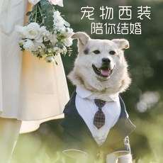 狗狗帥氣西裝禮服 結婚拍照寵物裝扮 假兩件套裝網紅款柯基柴犬, 藏青色,4L（推薦38-50斤）, 1個