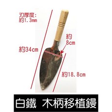 元山五金 白鐵木柄移植鏝 園藝挖土鏟, 1個