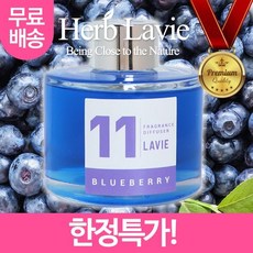 라비에 허브타임 차량용 자동차방향제 블루베리, 레드프룻