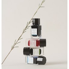 파이롯트 이로시주쿠 만년필 잉크 15ml, TAK(죽탄 / 타케스미)