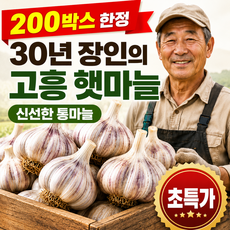 [200박스한정] 햇마늘 고흥 통마늘 국산마늘, 1박스, 1kg