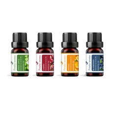 1+1 과일향 오일 방향제 차량용 실내 에센셜 아로마오일 천연 방향제 리필, 2개, 10ml, 블랙체리