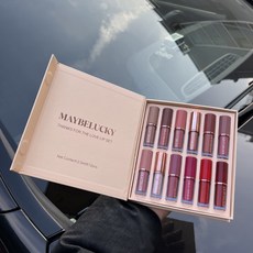 脣彩套裝珠光細閃12色LIP GLOSS SET持久防水不粘盃啞光口紅, 1個, 12支脣彩套盒