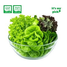 스마트팜 유러피안샐러드 랜덤 구성, 1개, 1kg