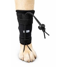 Labra Dog Canine 너클링 코렉터 토 드래그 브레이스 랩 전면 또는 후면 다리 발바닥, L/XL