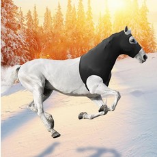 Hilltown 지퍼가 달린 롱 호스 슬링키 후드 - UV 차단 갈기 보호 신축성 있는 원단 쇼 프렙 땀 흡수 및 빠른 건조 라이딩 훈련 및 일상 사용을 위한 블랙, 롱 블랙