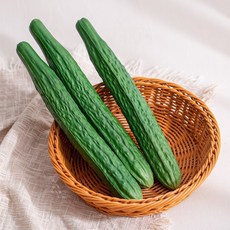 [데코봉봉] 진짜 같은 오이 모형 (대-30cm) 3개-인조 모조 가짜 채소 모형 부엌 주방 장식 인테리어 장식 촬영소품