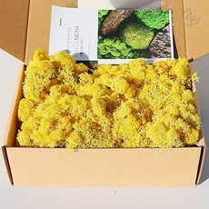 스텔라모스이끼 옐로우레몬200g 천연감성인테리어 플라워데코소품 커머스픽201