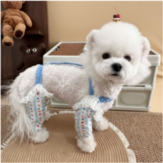 위드레오 강아지 발토시 다리보호대 다리커버 슬개골 산책 오염 방지, 1세트, 블루플라워