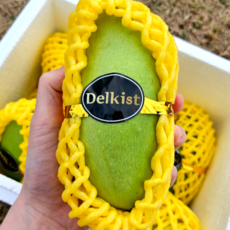 [파격초특가] 아삭아삭 고당도 그린망고 께오망고, 1박스, 2kg