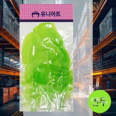 새깃털 연두 깃털장식 드림캐쳐DIY 오너먼트 사진촬영소품 만들기수업 깃털브로치