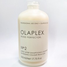 OLAPLEX 歐啦 No.2 結構還原護髮乳 525ml 沙龍級修護, 1個, 歐啦2號 525ml