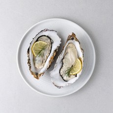 통영 삼배체 굴(대왕굴), 1개, 1kg