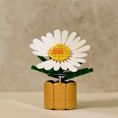 Oxford 818 BLOOM by G-DRAGON 拼砌式雛菊花盆栽, 白, 1個