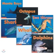 Animals Under the Sea, Scholastic